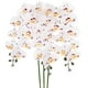 thumbnail image 1 of Uxcell 3-Pack Flores de Orquídea Artificial 9 Pétalos Grandes 37 Pulgadas Ramo de Seda Phalaenopsis Blanco Púrpura Orquídeas Falsas para Hogar/Boda, 1 of 1