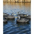 thumbnail image 4 of DOA Decoys Série Refuge Canard Noir Flottant 6 Paquets, 4 of 4