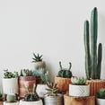 thumbnail image 4 of Pure Original Ingredients Potting & Garden Sand 2 lb Add to Planters & Soil Patches, Helps Retain Moisture, 4 of 5