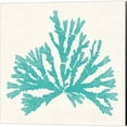 thumbnail image 2 of Great Art Now Pacific Sea Mosses Aqua by Wild Apple Portfolio 4 Piece Canvas Art Set Each 14"W x 14"H, 2 of 5