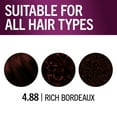 thumbnail image 6 of Schwarzkopf Keratin Color Permanent Hair Color, 4.8 Rich Bordeaux, 1 Application, 6 of 11
