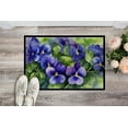 thumbnail image 2 of Carolines Treasures DAC1703JMAT 24 x 36 in. Unisex Rhode Island Violets in Watercolor Indoor or Outdoor Mat, 2 of 5