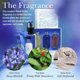 thumbnail image 2 of Gel de baño y ducha Molton Brown Bluebell & Wild Strawberry, 2 of 4