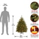 thumbnail image 2 of Árbol de Navidad Artificial National Tree Company Dunhill 4 pies, 2 of 2