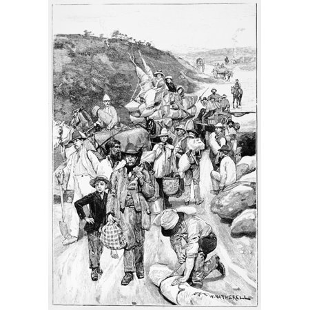 Australia Gold Rush 1860 Na Gold Rush Near Melbourne Victoria