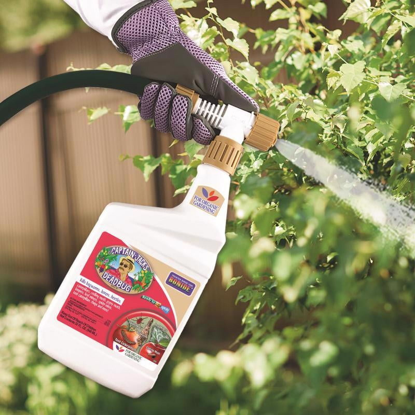 Bonide 255 Captain Jack's Deadbug Brew Organic Outdoor Insecticide & Mite Killer, 32 oz. Ready-to-Spray - Quantity 1
