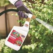 Bonide 255 Captain Jack's Deadbug Brew Organic Outdoor Insecticide & Mite Killer, 32 oz. Ready-to-Spray - Quantity 1