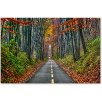 Trademark Fine Art "Paths" Canvas Art by CATeyes