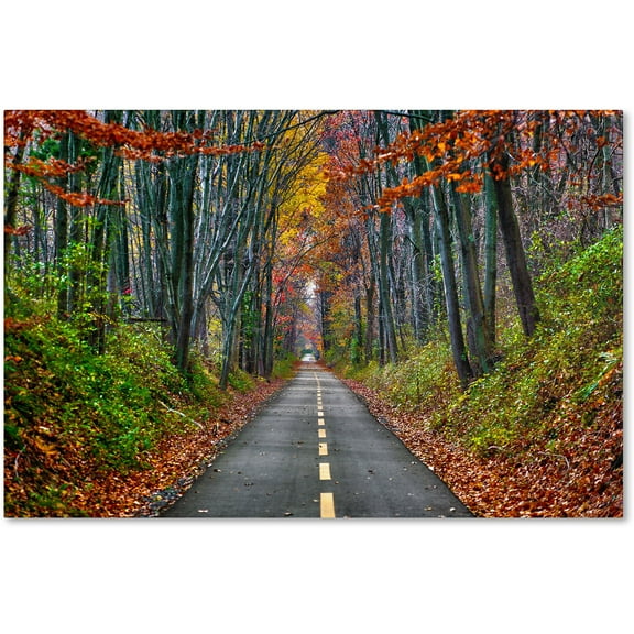 Trademark Fine Art "Paths" Canvas Art by CATeyes