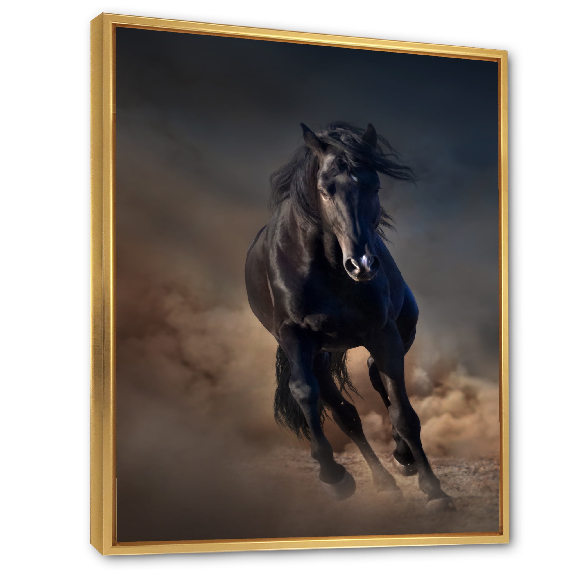 Designart 'Close Up Of Thoroughbred Nonius Stallion Horse I' Farmhouse Framed Canvas Wall Art Print
