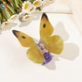 thumbnail image 1 of Accesorios Pinza para el cabello Pinza acrílica para el cabello Creativas Canasta de flores Mariposas Pinza para el cabello Agarra la pinza, 1 of 3