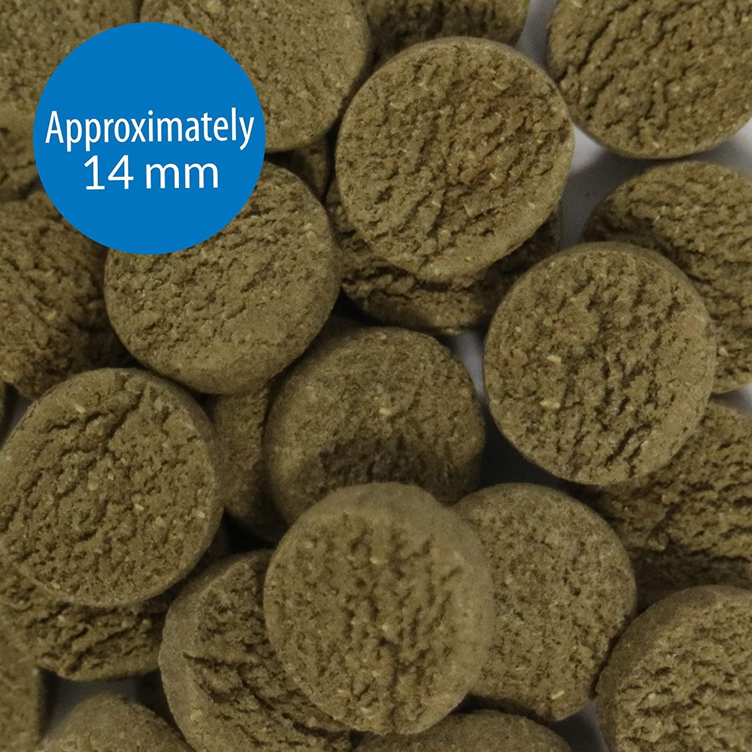 API Algae Eater Sinking Wafers Fish Food [Aquarium Bottom Feeder Food, Aquarium Supplies] 19.2 oz (3 x 6.4 oz)