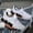 White, variant on Lightweight Breathable Sneakers for Men Featuring a Geometric Black And White Design, Ideal for Running, Walking, And Training. They Come with a Lace-Up Closure, MD Sole, And Fabric Upper