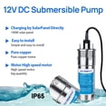 thumbnail image 3 of Bomba sumergible para pozos profundos ECO-WORTHY 12V DC 12LPM/3.2GPM, 3 of 9