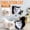 multicolour, variant on Vikakiooze Home Decor Under $5, Simulation cats Plush OrNaments Decoration Simulation Animals Models 2PC
