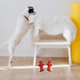 thumbnail image 4 of AURARMLET Columna Para Entrenamiento De Mascotas Con Y Eficiente Para Perros En Interiores, 4 of 6
