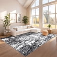 thumbnail image 2 of Hasoo Modern Washable Indoor Carpet 5' x 7' Black Area Rug for Living Room Abstract Pattern Non-slip polyester Room Decor Rug, 2 of 5