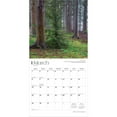 thumbnail image 3 of Pennsylvania Wild & Scenic | 2026 12x24" (Hanging) Wall Calendar | Plastic-Free, 3 of 9