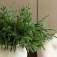 thumbnail image 6 of Pre-Lit Pine Stems Norfolk Pine Branches, Ongmies Christmas Decorations Indoor, Pre-Lit Branches and Stems | Artificial Greenery with Built-In Led Lights, 6 of 9