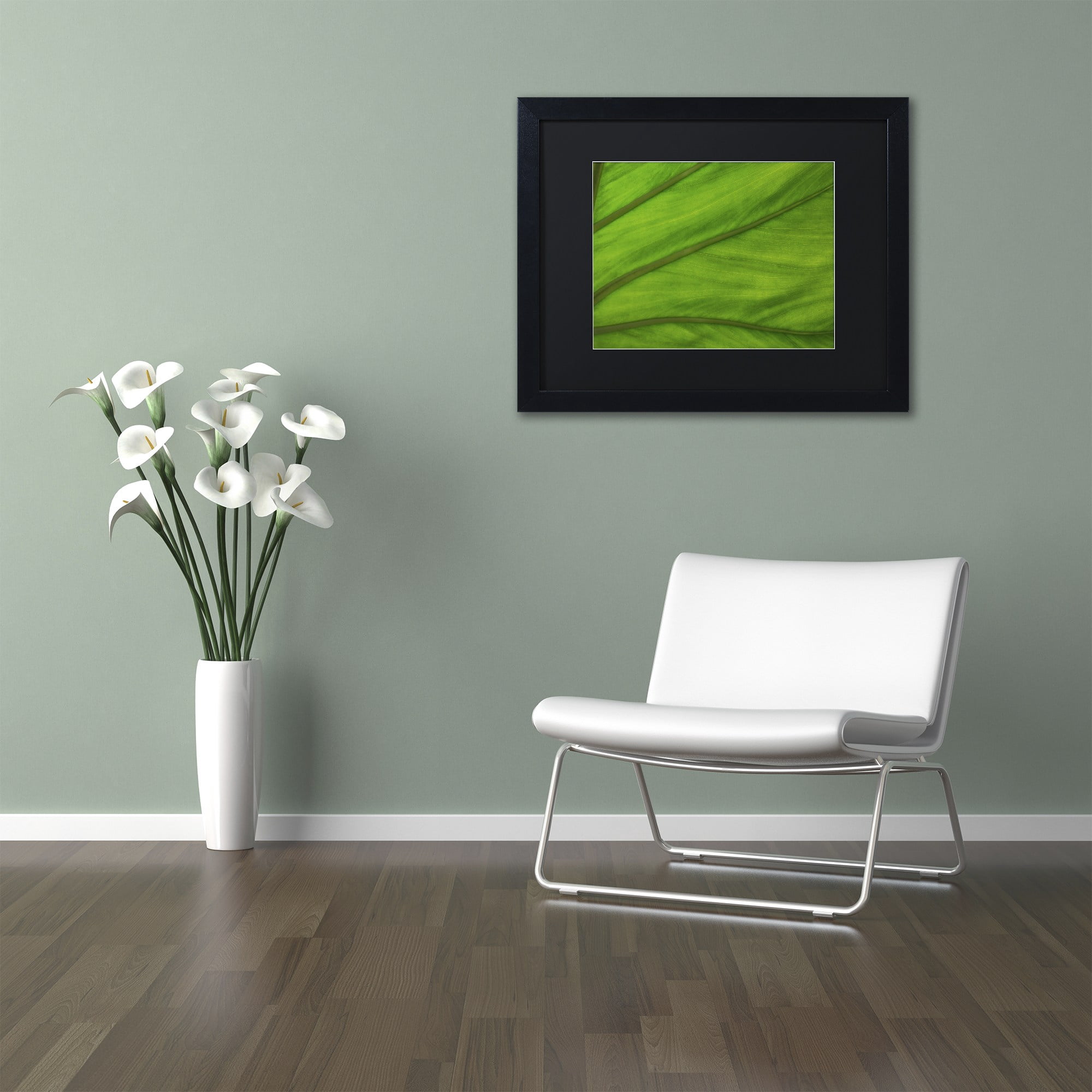 Trademark Fine Art "Green Elephant Ear Abstract" Canvas Art by Kurt Shaffer Black Matte, Black Frame