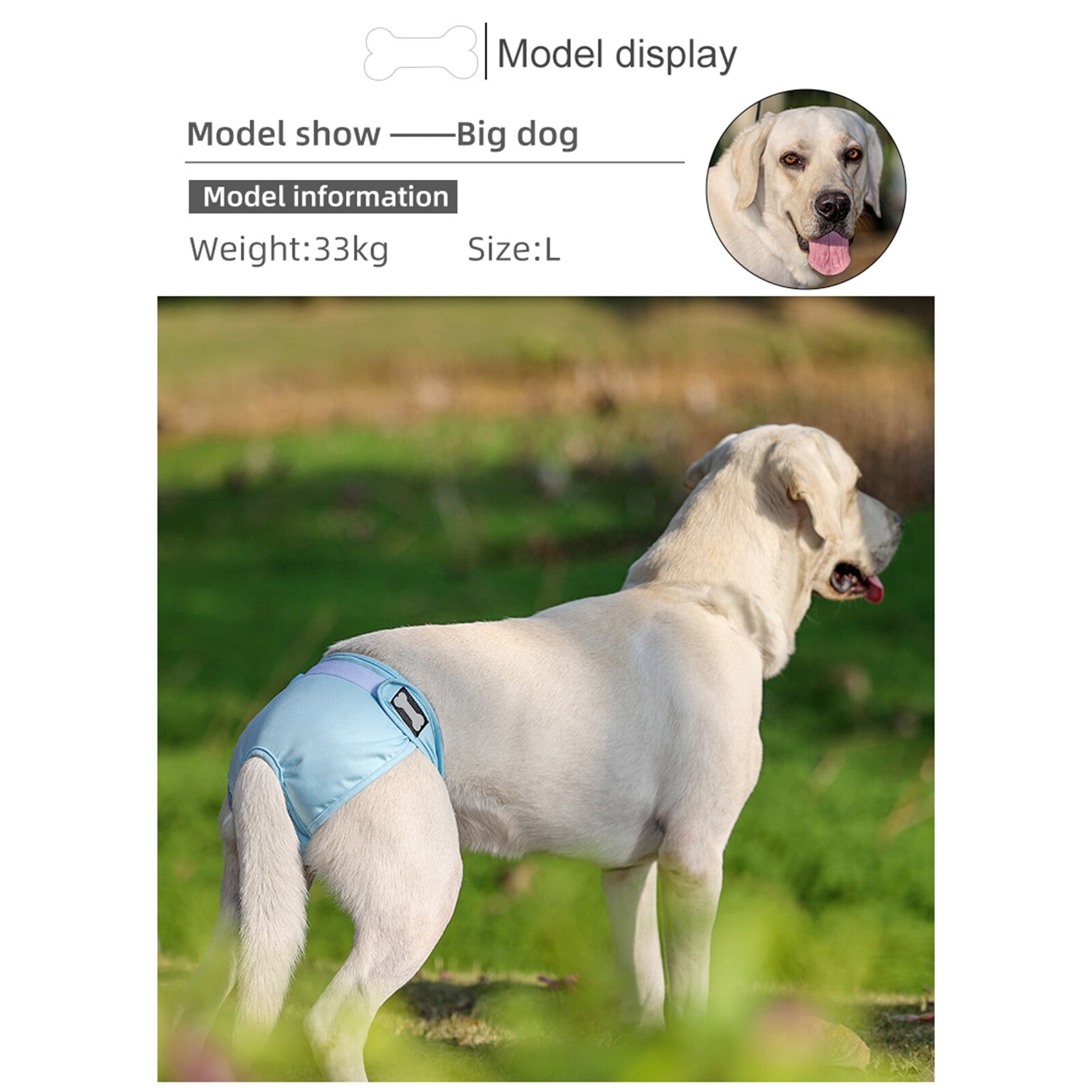 Washable Wrap Diapers for Female Dogs Reusable Female Dog Diaper Breathable Female Dog Wraps, Pack of 3
