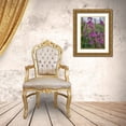 thumbnail image 3 of Garber, Howie 12x14 Gold Ornate Wood Framed with Double Matting Museum Art Print Titled - Fireweed and Alaskan morning near Eagle River-Alaska, 3 of 4