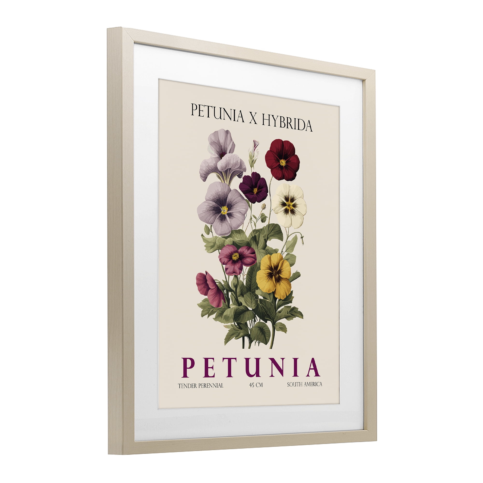 Stupell Industries Natural Petunia Bundle Birch Framed Print Under Glass, design by Christopher Giampietro