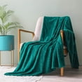 Clearance! Fenull Polyester Blanket, Large Flannel Fleece Throw Blanket