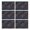 Pioneer Flower Floral-1, variant on Pioneer Flower Floral Print Pattern Summer Placemats Table Placemats Set Of 4-Linen Kitchen Washable Placemats Table Mats 12x18 Inch Non-Slip Heat Resistant