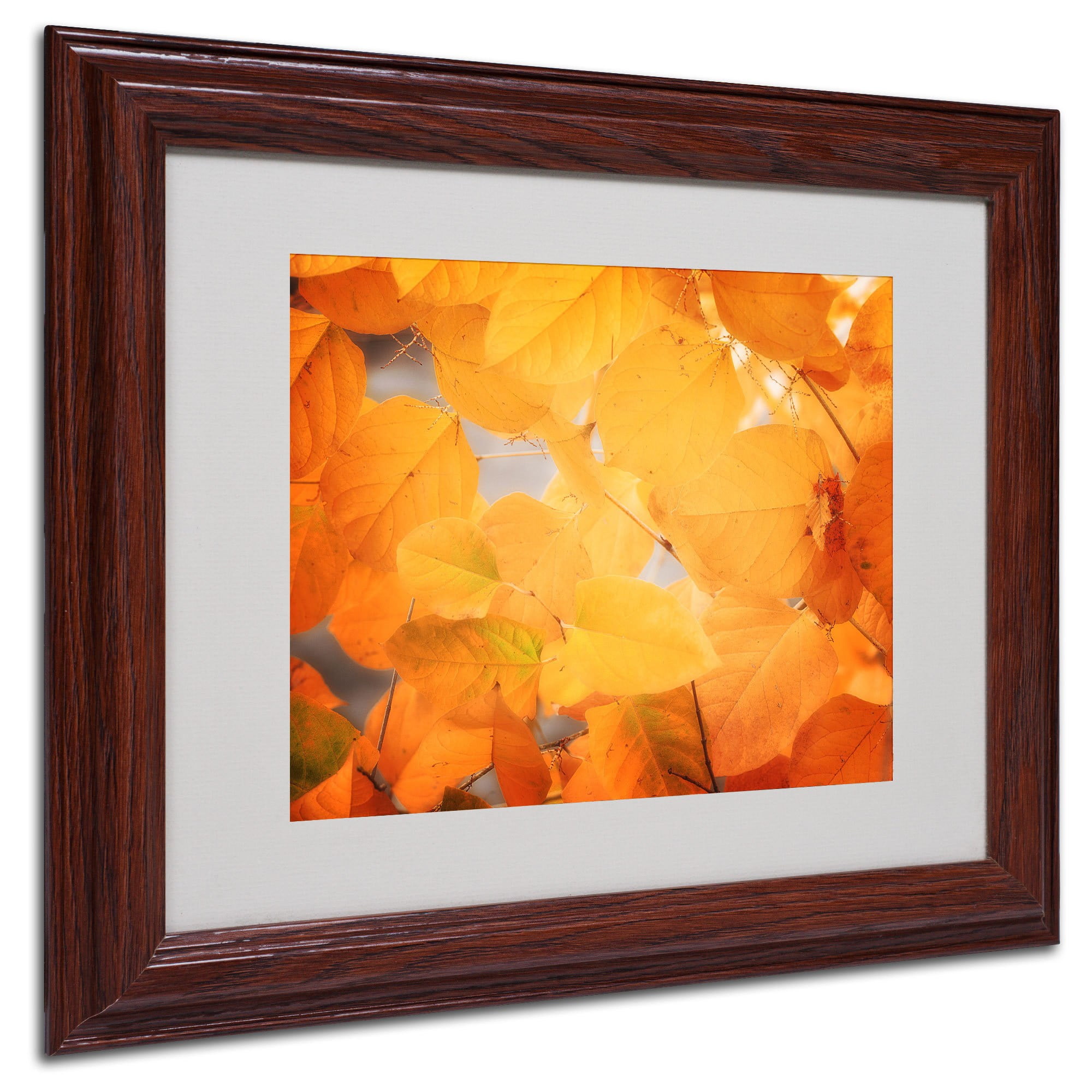 Trademark Fine Art "Seasonal Leaves" Canvas Art by Philippe Sainte-Laudy, Wood Frame