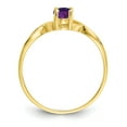 thumbnail image 2 of Primal Gold 10 Karat Yellow Gold Genuine Amethyst Birthstone Ring, 2 of 7