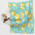 thumbnail image 6 of Naloa Yellow Lemon Dog Blanket, 3 Sizes Cat Blanket for Indoor Cats Large Medium Small Dog Gifts-Medium, 6 of 8