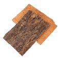 thumbnail image 1 of BESTYASH 2Ud Plataforma De Artificial Para Reptiles Natural Y Funcional, 1 of 6