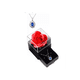 thumbnail image 1 of Flores Rosa Eterna Y Collar Regalo Ideal Para Mujeres, 1 of 3