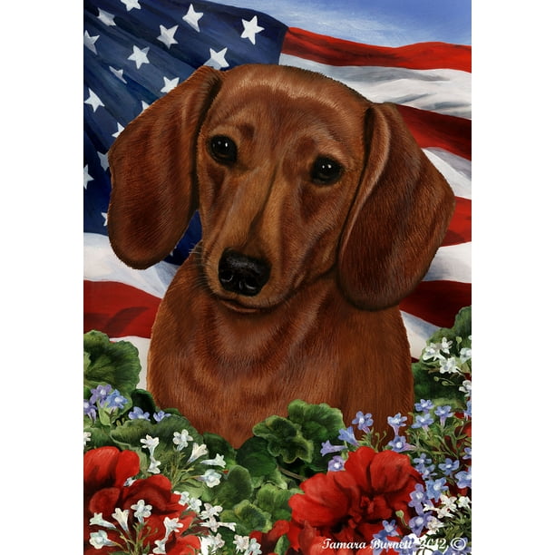 Dachshund Red - Best of Breed Patriotic I Garden Flags - Walmart.com