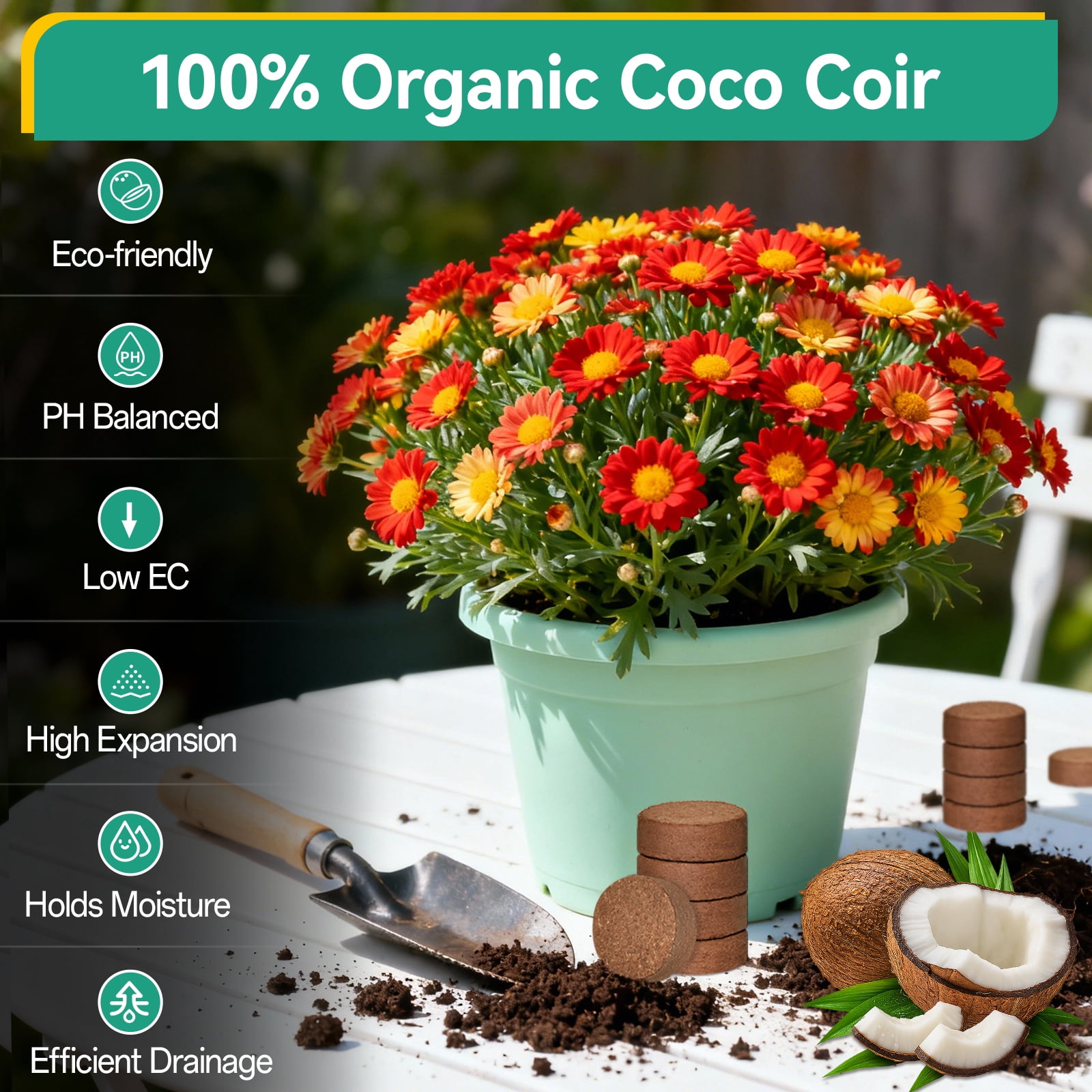 ZeeDix 50 Pcs  50mm Compressed Coco Coir Fiber Potting Soil- Organic Coco Coir Pellet Fiber Soil for Planting Bonsai, Herbs, Plants, Flowers and Vegetables