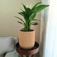thumbnail image 5 of Ecobo 13.4 inches Eco-Friendly Round Pot Planter, Linhas Indoor/Outdoor use, Durable, Versatile & Lightweight, Designed by Brazilian Artisans, Contemporary All-Weather Design - Orange, 5 of 7