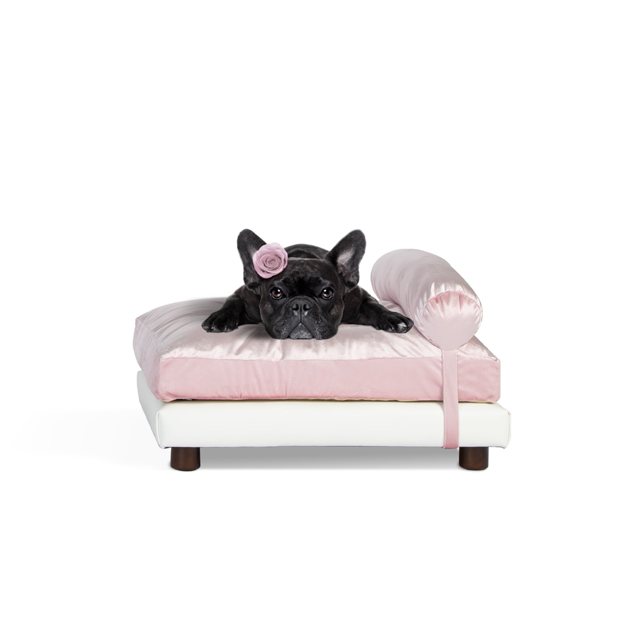 small pink dog bed