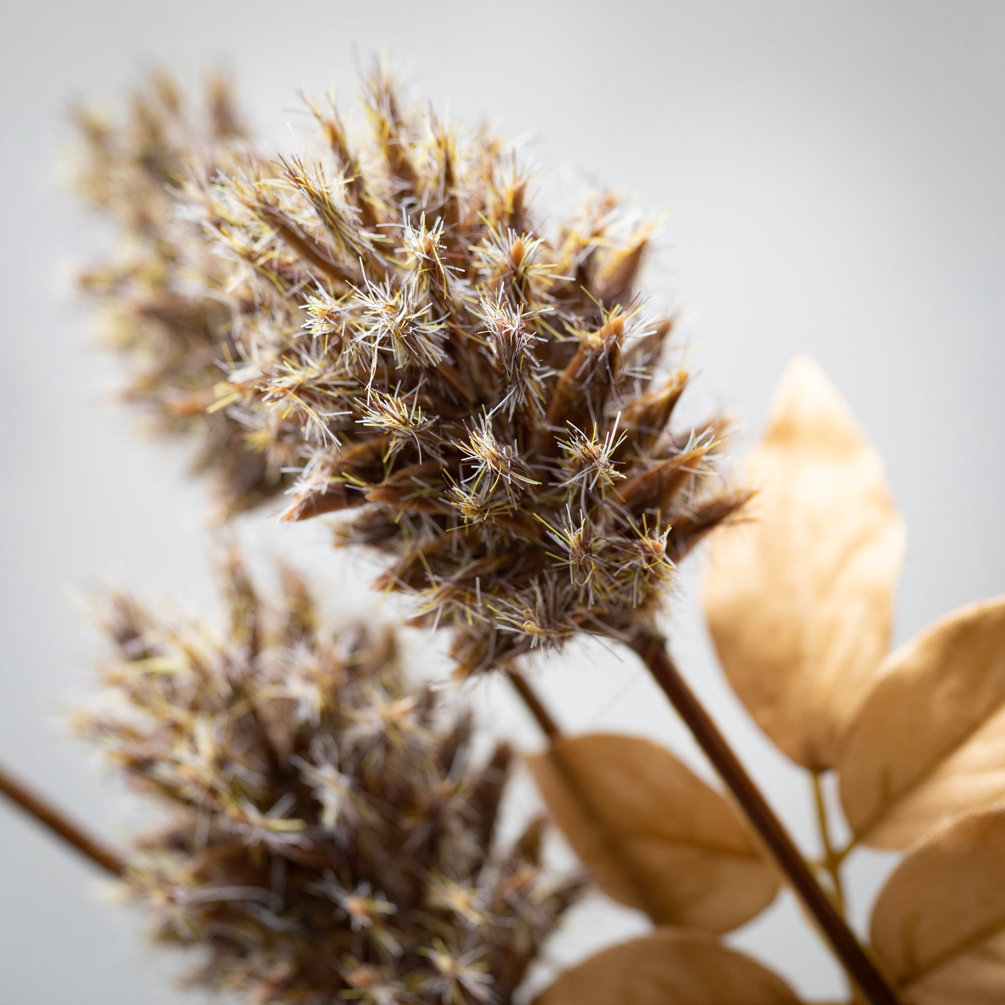 Sullivans Artificial Dried Brown Thistle Stem 27.5"H Brown