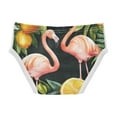 thumbnail image 2 of Ckdifva Flamingos Oranges Boys Underwear Briefs Cotton Panties Active Stretch Briefs One Pack, 2 of 6