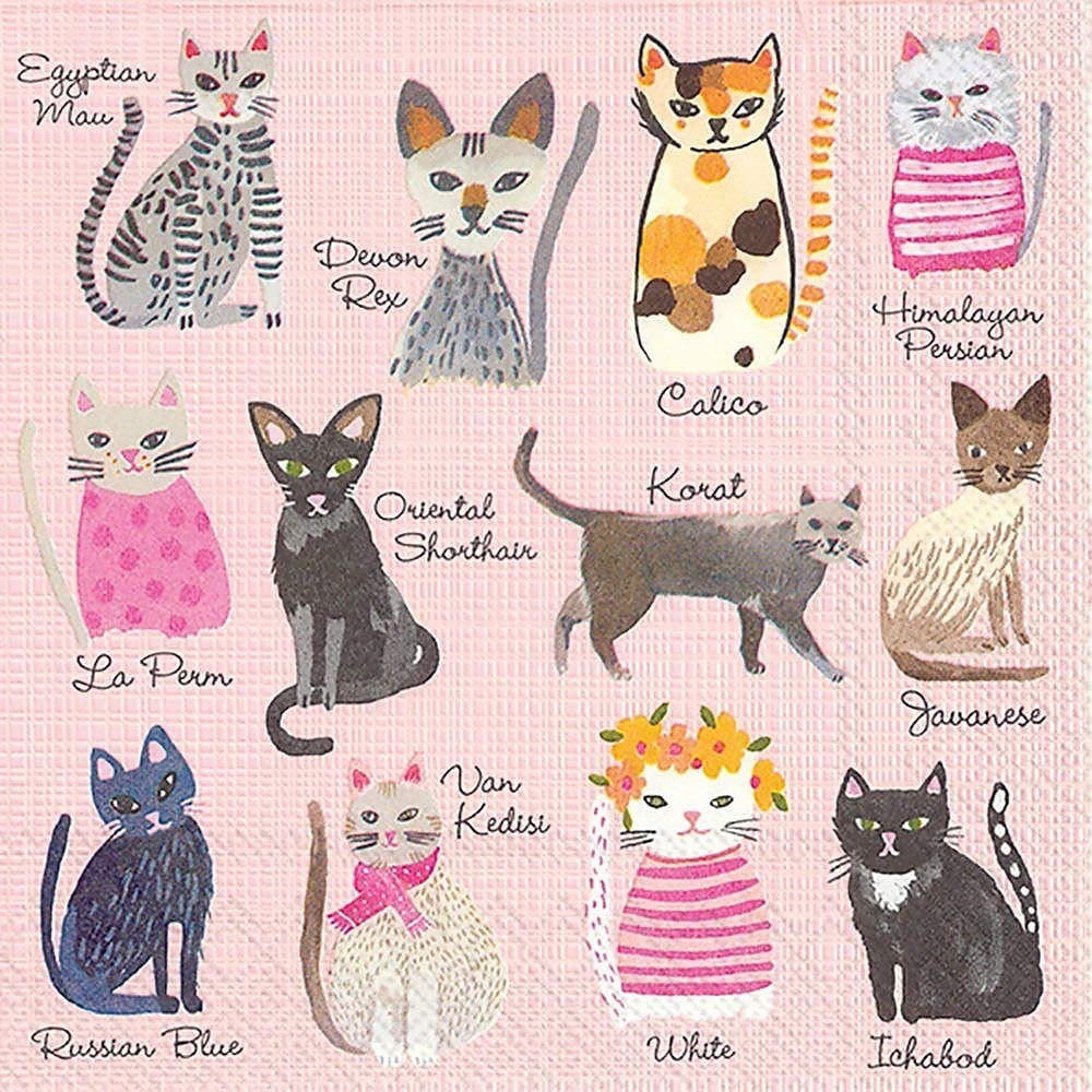 Cool Cats Boston International Cocktail Beverage Paper Napkins 5 x 5 Inches