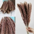 thumbnail image 3 of GRNSHTS Dried Pampas Grass Plumes 15 Pieces 17 Inch Tall Natural Dried Plants Artificial Faux Reed Flower Stems Bunch for Wedding Arrangements Vase Door Wreath Decoration, 3 of 7