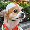 thumbnail image 6 of Small Dog Helmet with Ear Hole Adjustable Puppy Helmet Motorcycle Dog Helmet,M,Black, 6 of 6