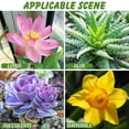 thumbnail image 4 of FELTECHELECTR Maceta de cerámica para plantas hidropónicas, creativa, para jardinería, con narcisos y suculentas (azul), 4 of 4