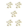 thumbnail image 2 of Ounissouiy 12 piezas de flores secas para manualidades, accesorios para hacer flores prensadas. Type5 NO5, 2 of 6