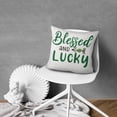 thumbnail image 5 of St. Patrick's Day Decorative Pillows Inserts & Covers,Soft Pillow Cas Covers,linen Pillowcases Double-sided Printing for Sofa Couch Outdoor Decor,Pillow Case Set Of 2,20x20 Inches, 5 of 7