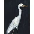 thumbnail image 2 of Warren, Annie 19x24 White Modern Wood Framed Museum Art Print Titled - Calm Great Egret II, 2 of 4