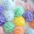 thumbnail image 3 of 5 Pcs Tissue Paper Pompoms Flower Garland Wedding Decoration DIY Paper Flowers Ball Baby Shower Birthday Party Decoration Blush 12 inches 30cm, 3 of 4