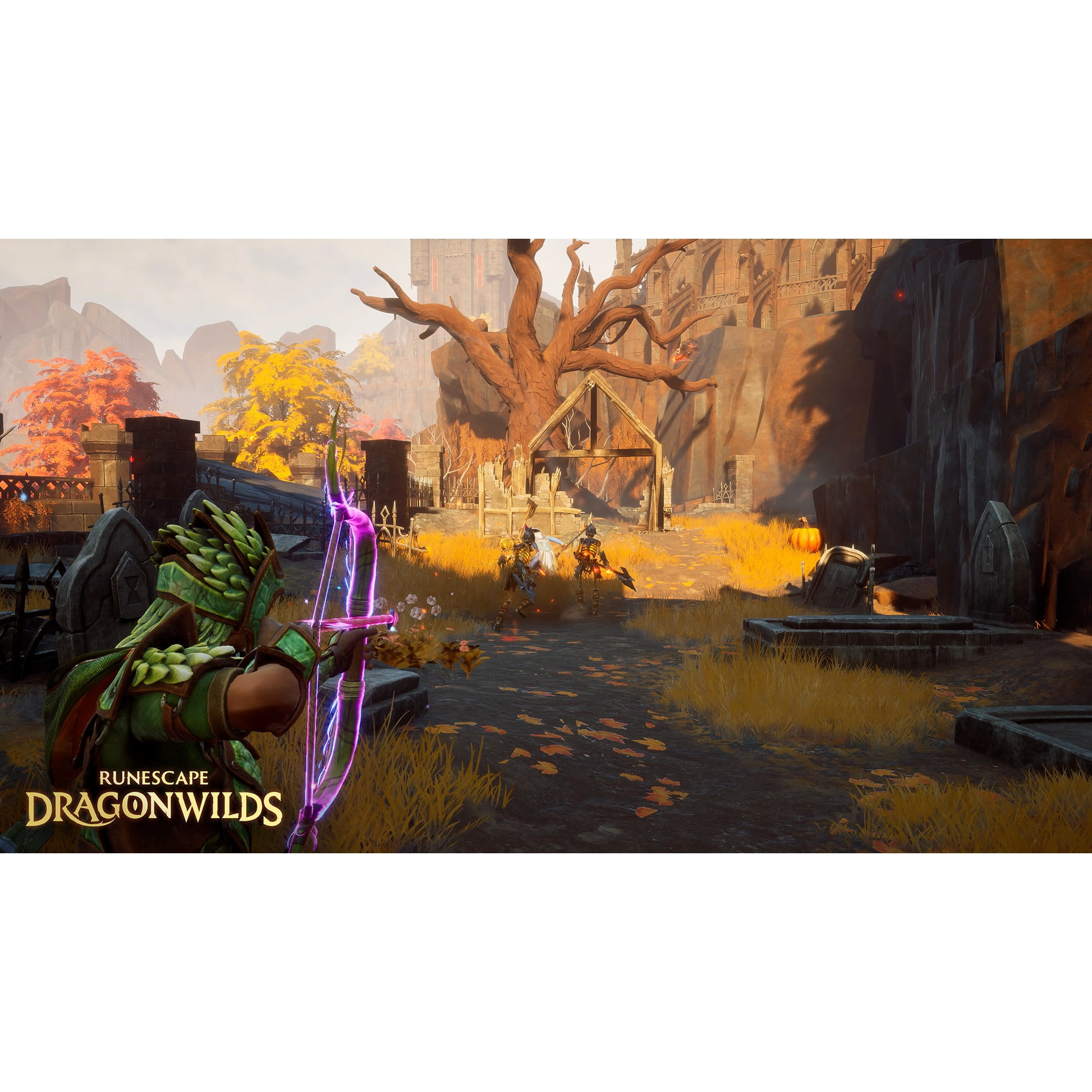 RuneScape: Drangonwilds&nbsp; - PlayStation 5 Game