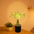 thumbnail image 7 of MERILER LED Twig Lights - Simulation Plant Potted Lights with USB Power - Warm White Glowing Tree for Holiday and Everyday Décor, 7 of 7